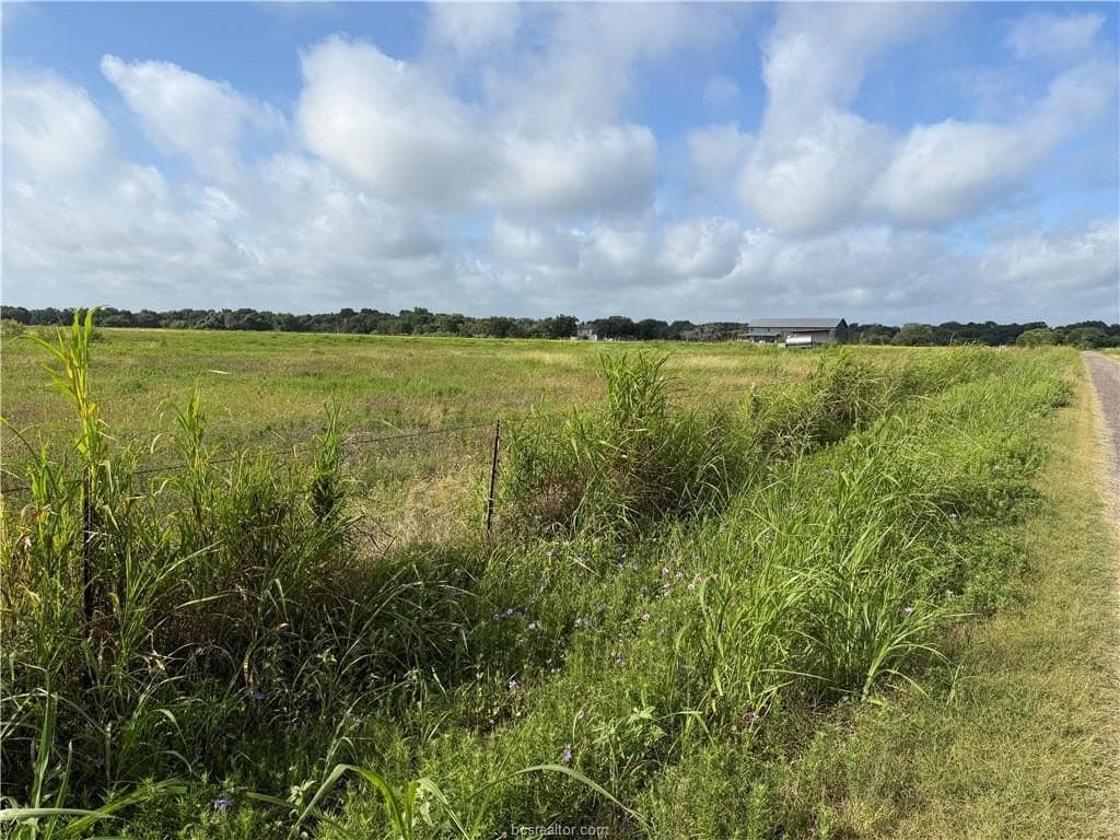 2 acres in Burleson County gallery image 4