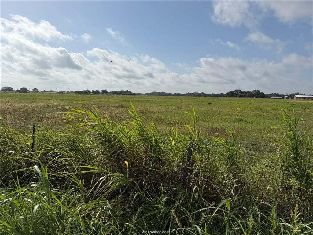 2 acres in Burleson County gallery image 2