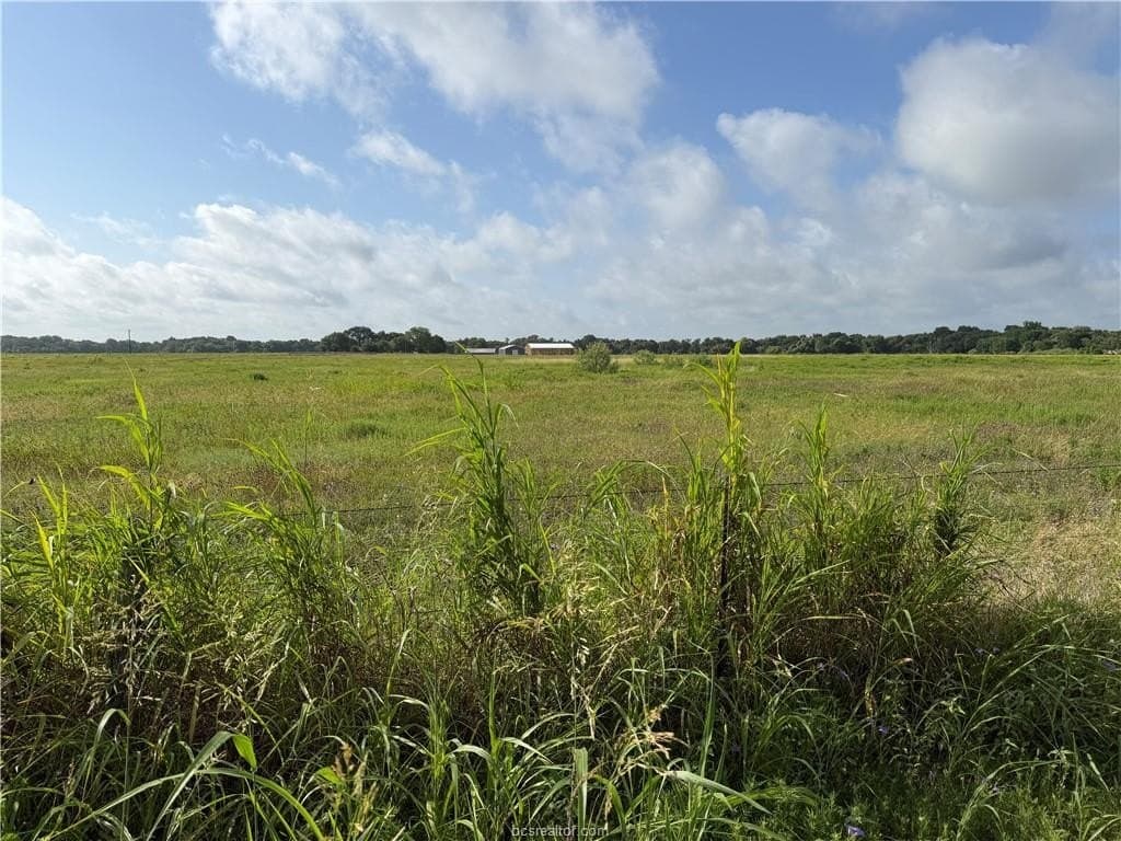 2 acres in Burleson County - photo 6