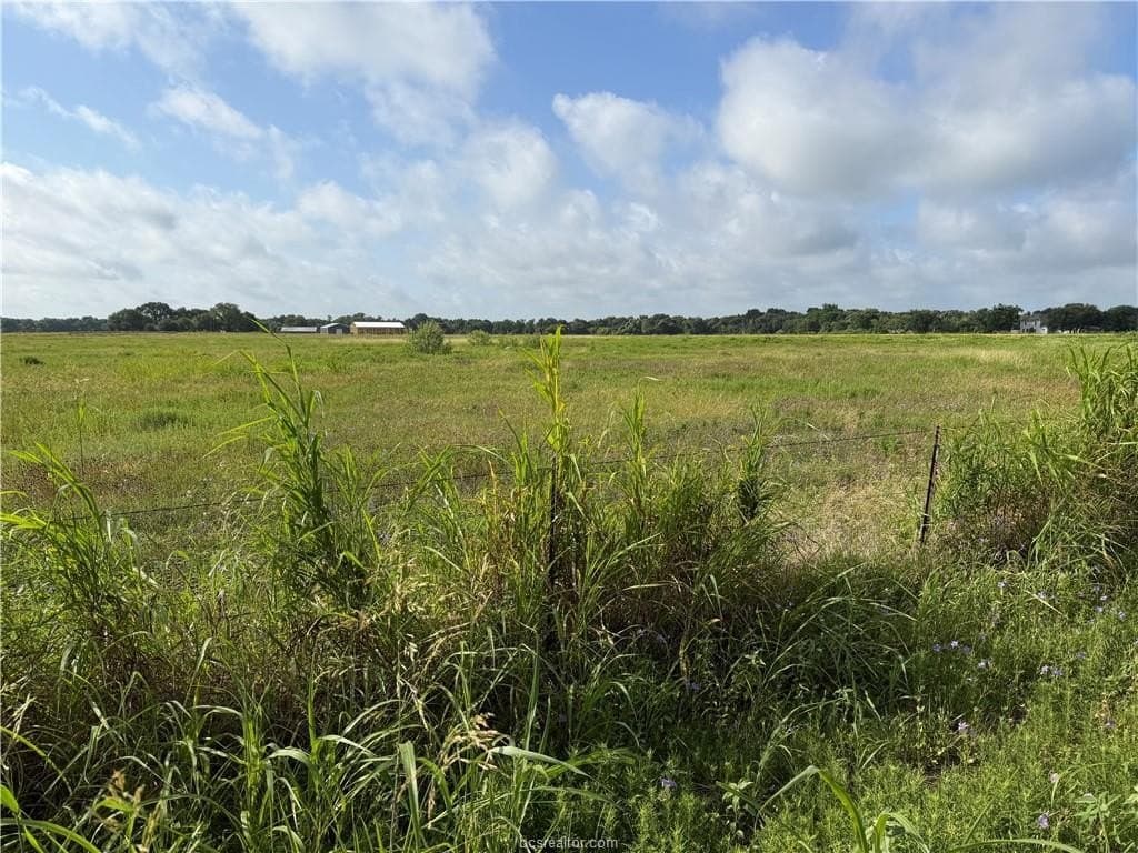 2 acres in Burleson County gallery image 3