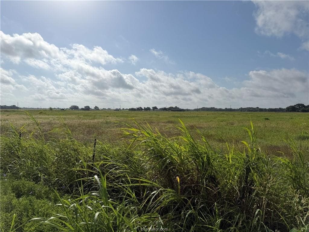 2 acres in Burleson County - photo 7