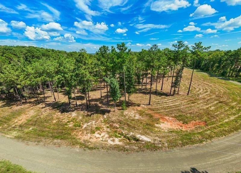 2.82 acres in Texas County gallery image 4