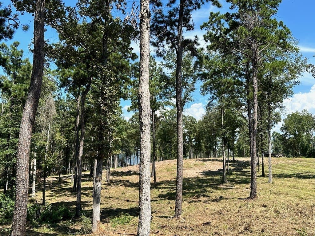 2.82 acres in Texas County featured view
