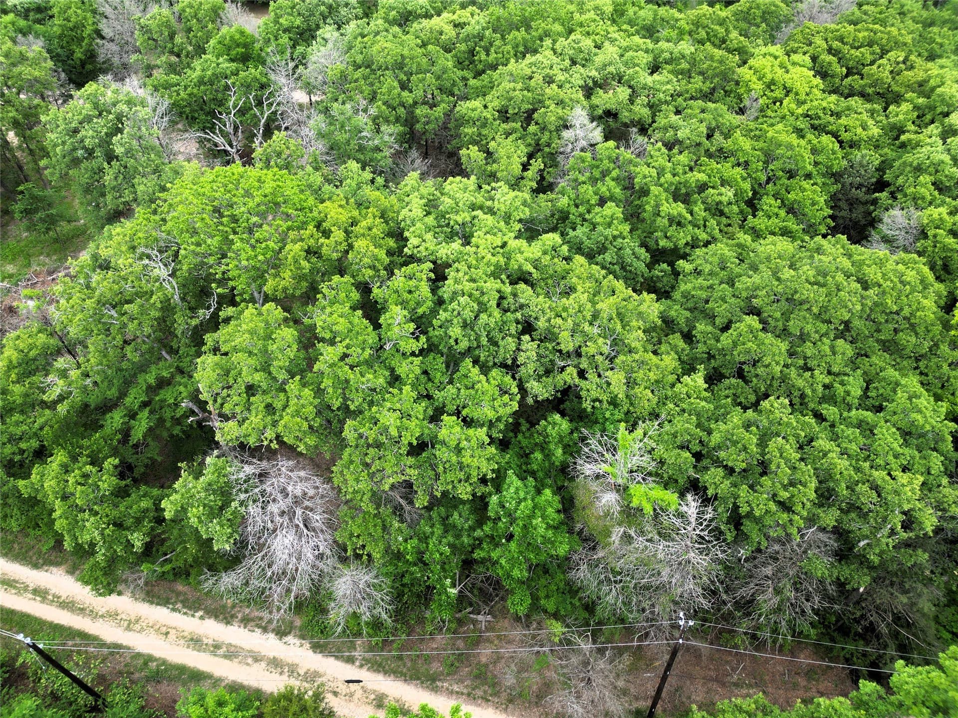 0.26 acres in Hunt County - photo 9