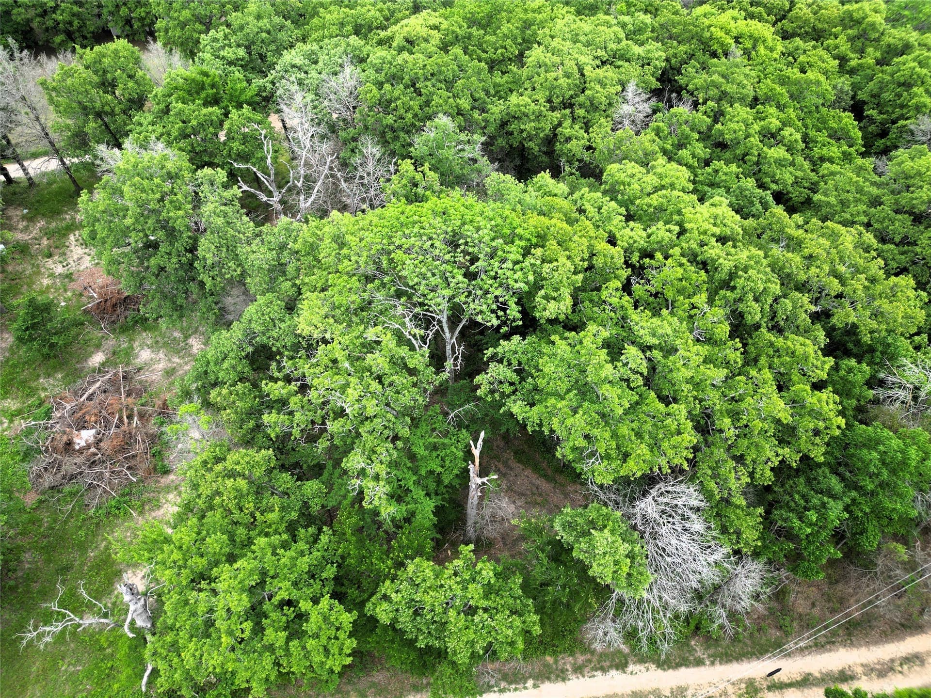 0.26 acres in Hunt County - photo 8