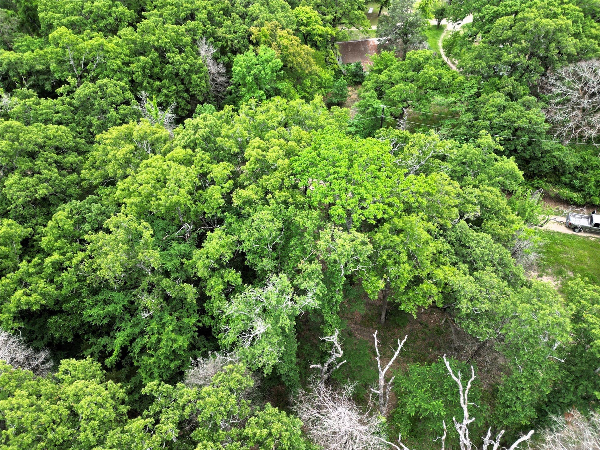 0.26 acres in Hunt County - photo 10