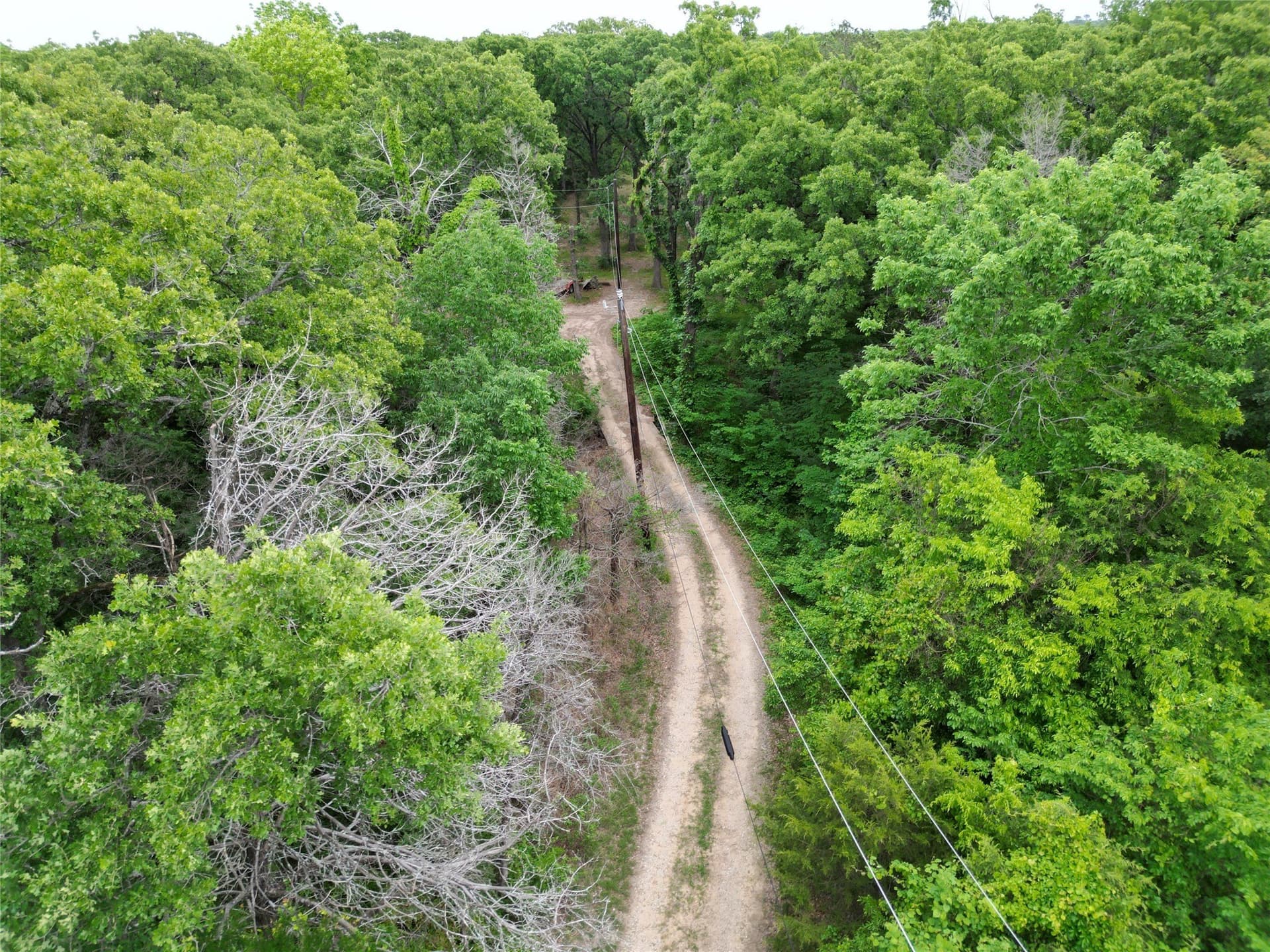 0.26 acres in Hunt County - photo 6