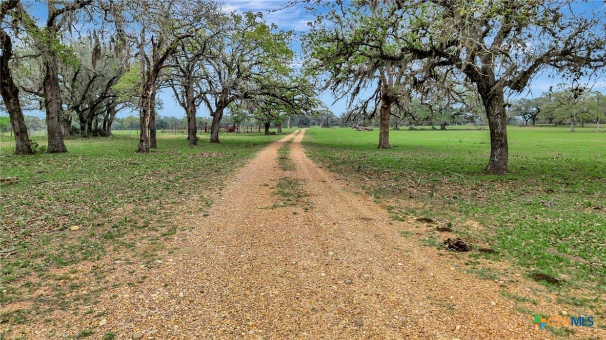 446.91 acres in Lavaca County gallery image 2
