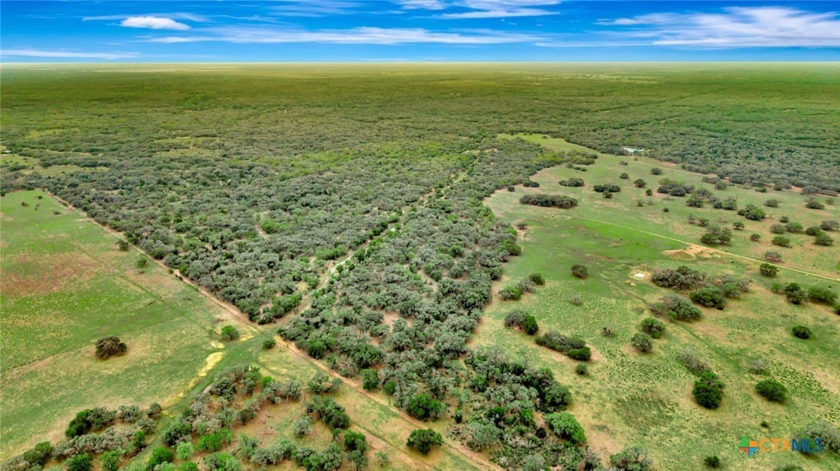 446.91 acres in Lavaca County - photo 8
