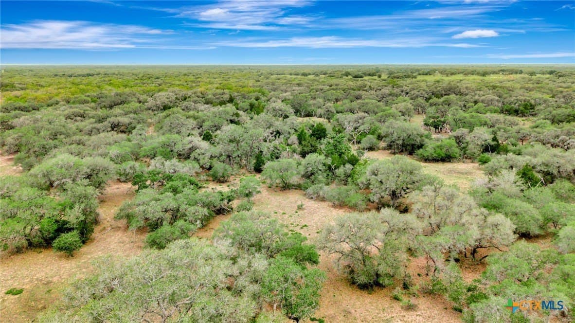 446.91 acres in Lavaca County - photo 11