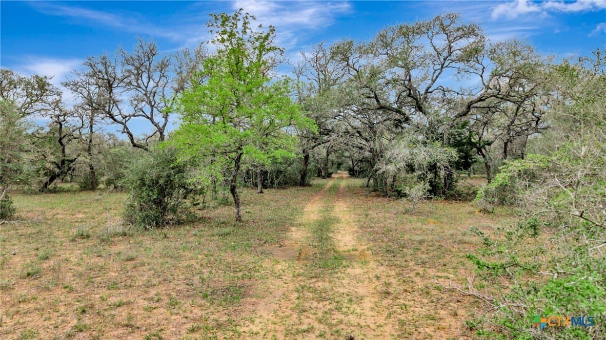 446.91 acres in Lavaca County - photo 33