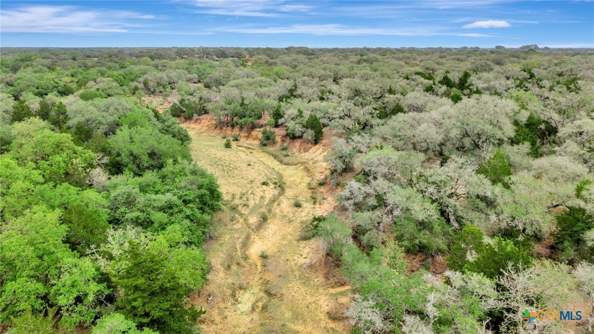 446.91 acres in Lavaca County gallery image 3