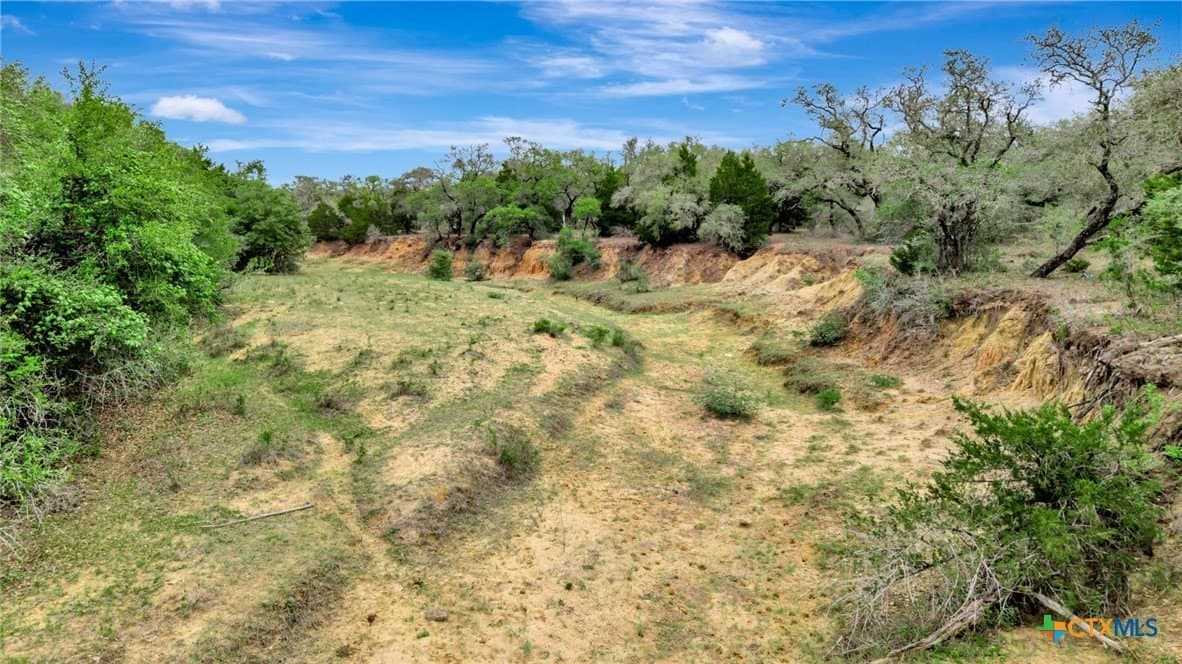 446.91 acres in Lavaca County gallery image 4