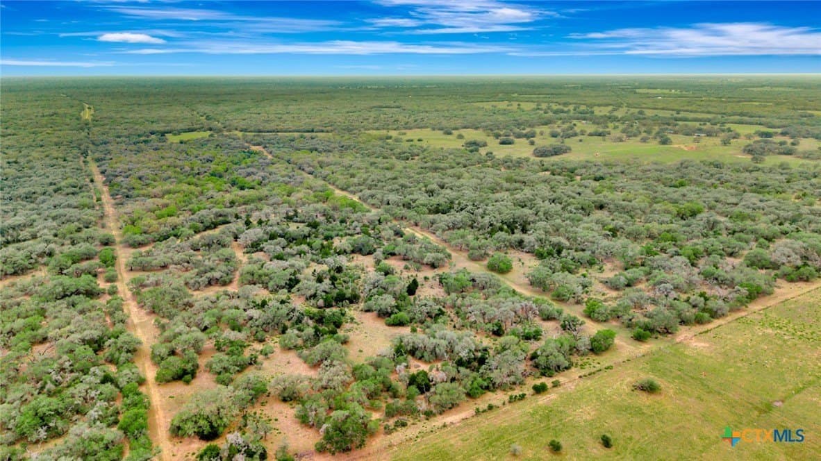 446.91 acres in Lavaca County - photo 10