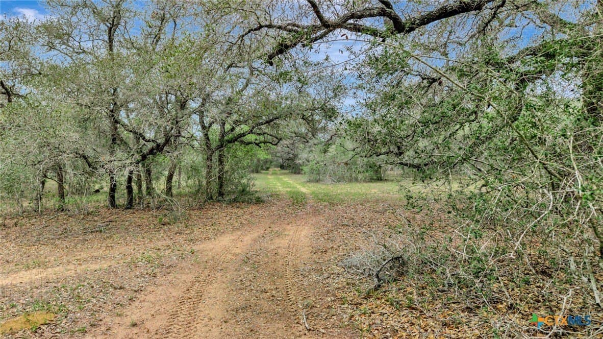 446.91 acres in Lavaca County - photo 32