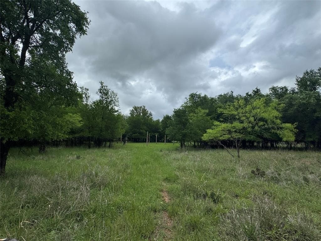 21.19 acres in Parker County gallery image 4