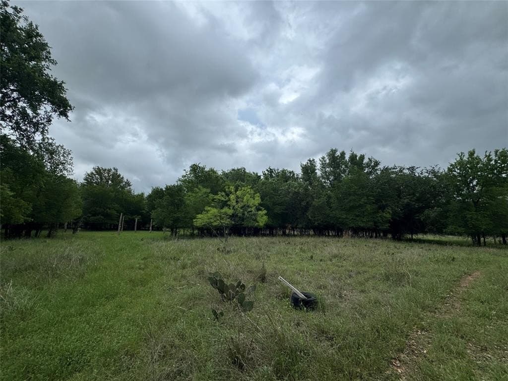 21.19 acres in Parker County gallery image 3