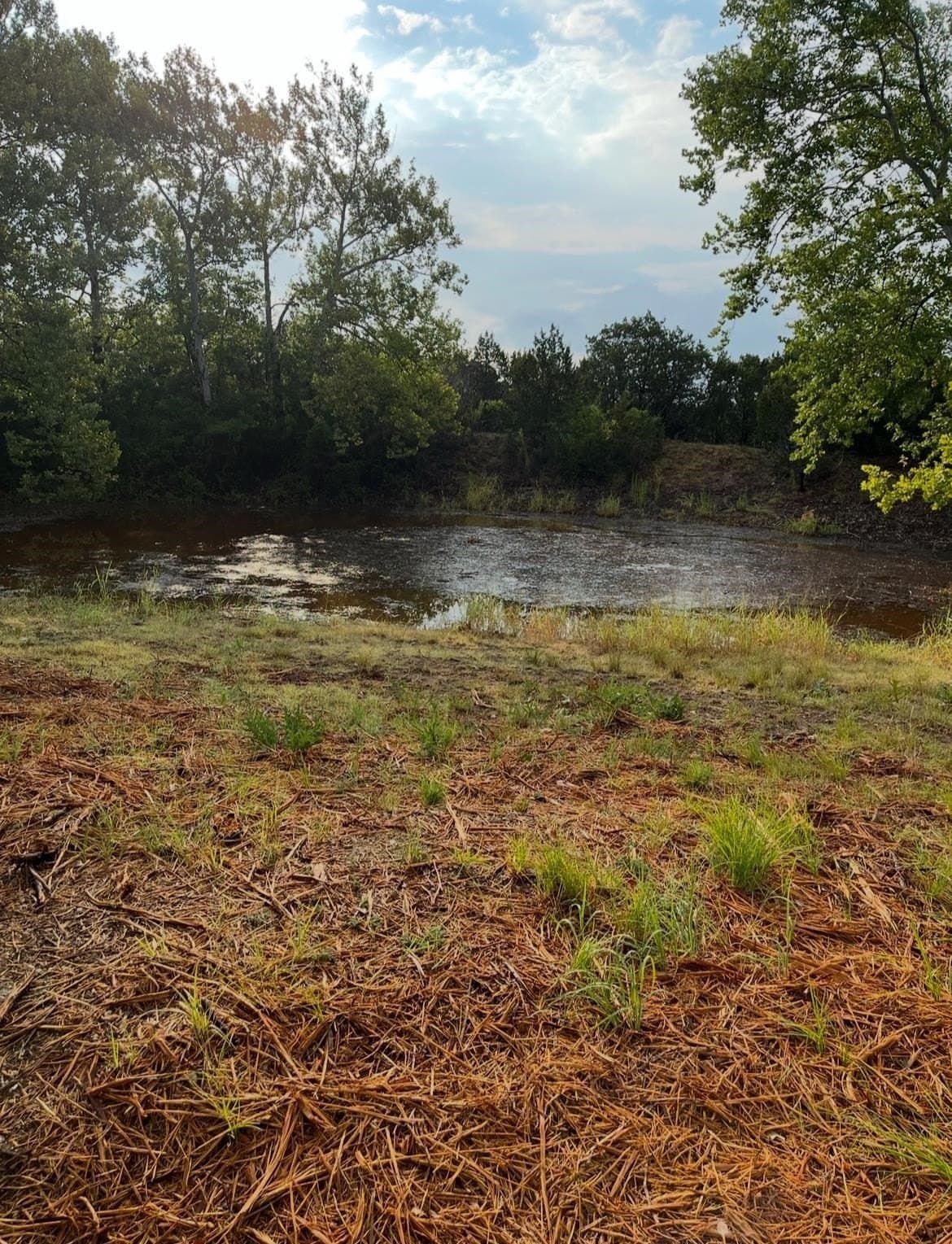 16.29 acres in Burnet County - photo 28