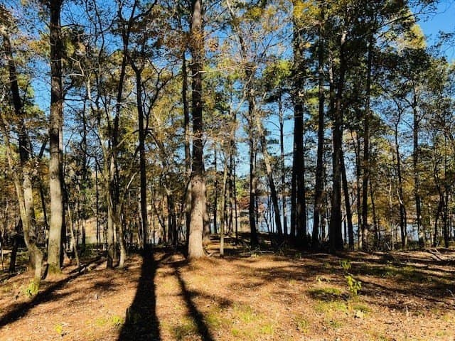 1.05 acres in Texas County gallery image 4