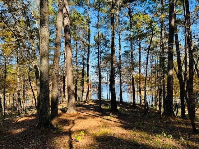 1.05 acres in Texas County gallery image 2