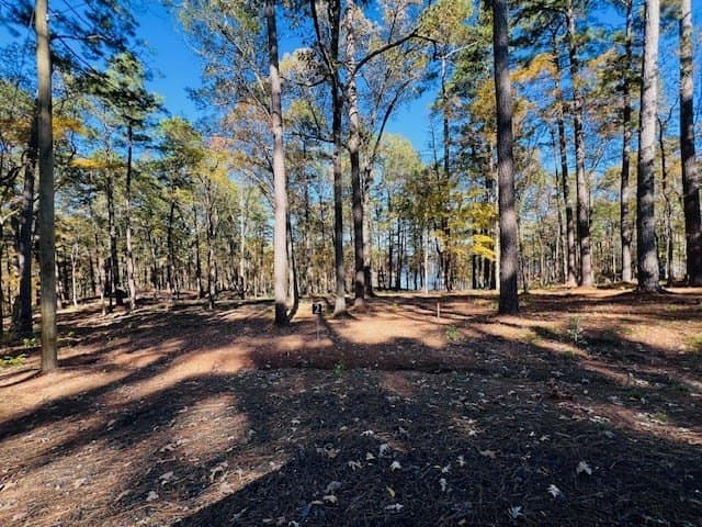 1.05 acres in Texas County gallery image 3