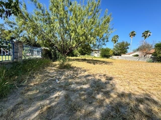 0.12 acres in webb County gallery image 2