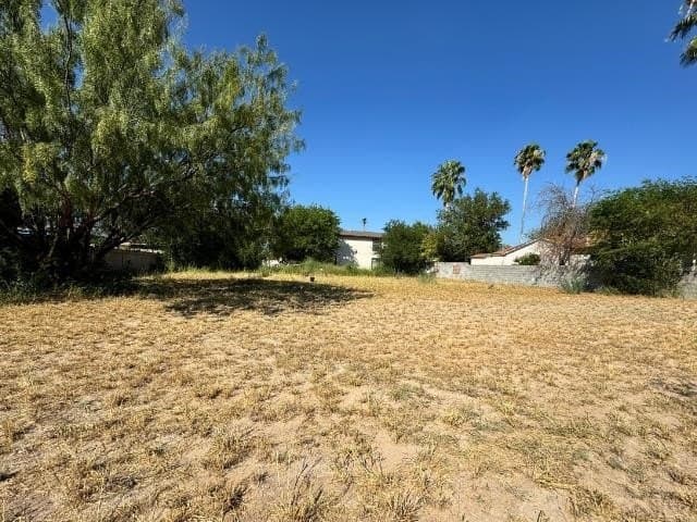 0.12 acres in webb County gallery image 3