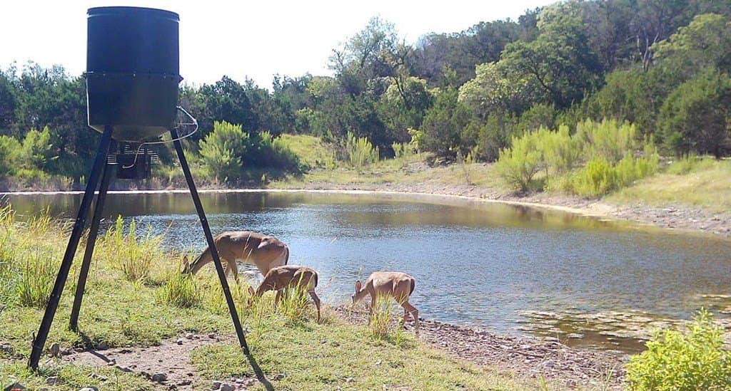 16.77 acres in Kerr County gallery image 3