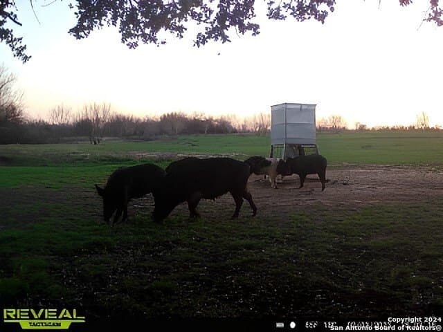 60 acres in Bexar County - photo 10