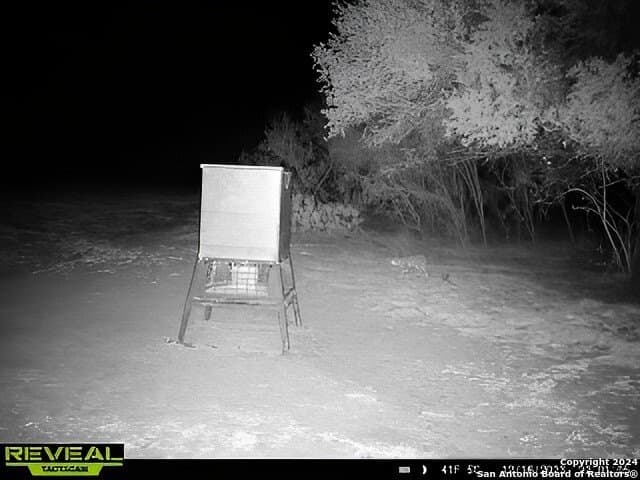 60 acres in Bexar County - photo 9