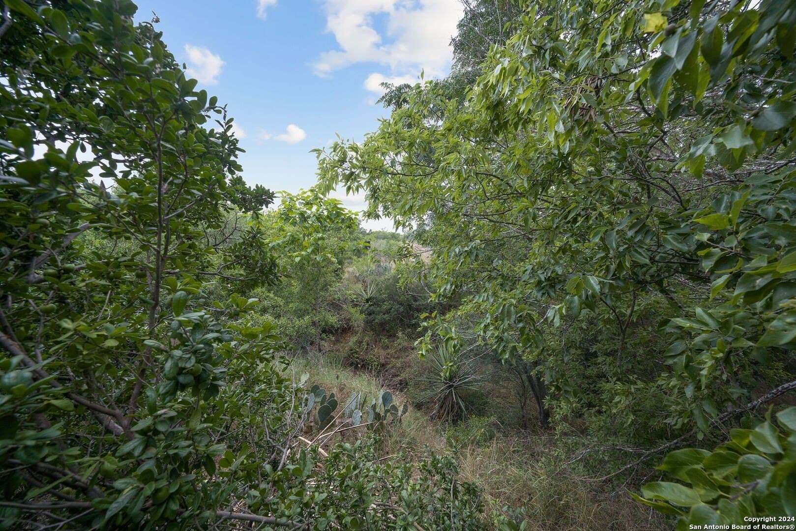 60 acres in Bexar County - photo 22