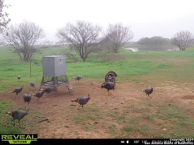 60 acres in Bexar County - photo 11