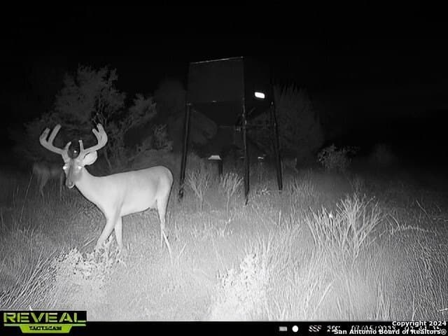 60 acres in Bexar County - photo 7