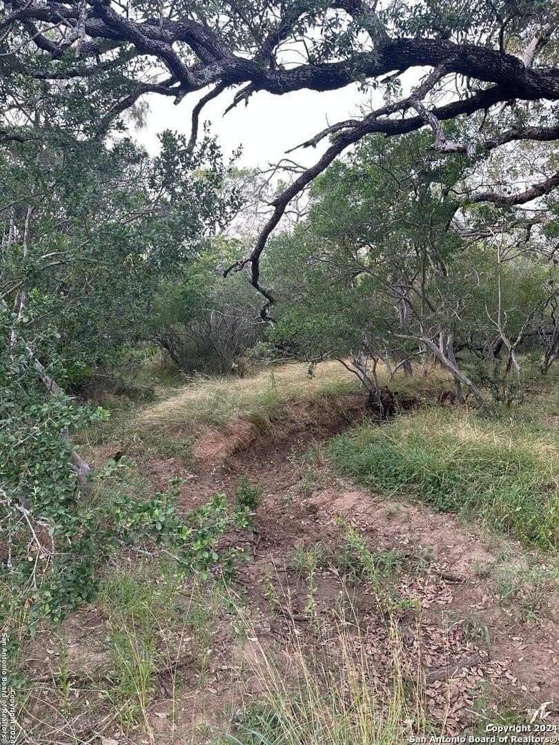 60 acres in Bexar County - photo 5