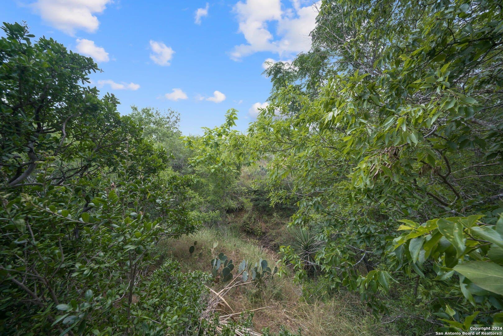 60 acres in Bexar County - photo 23