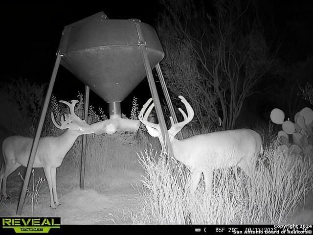 60 acres in Bexar County - photo 8