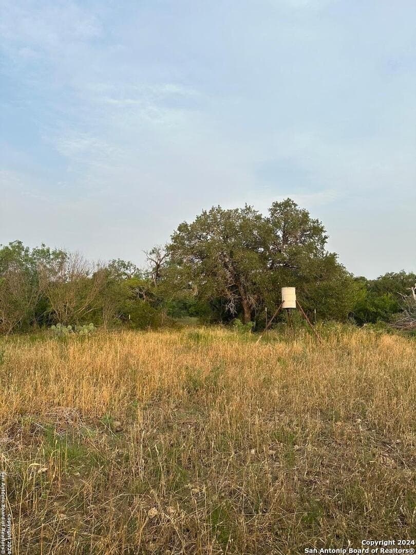 60 acres in Bexar County - photo 6