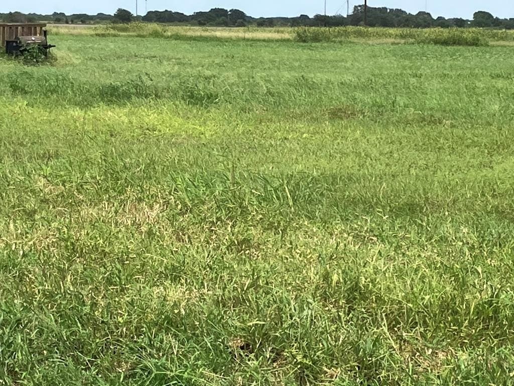 6 acres in Texas County - photo 6