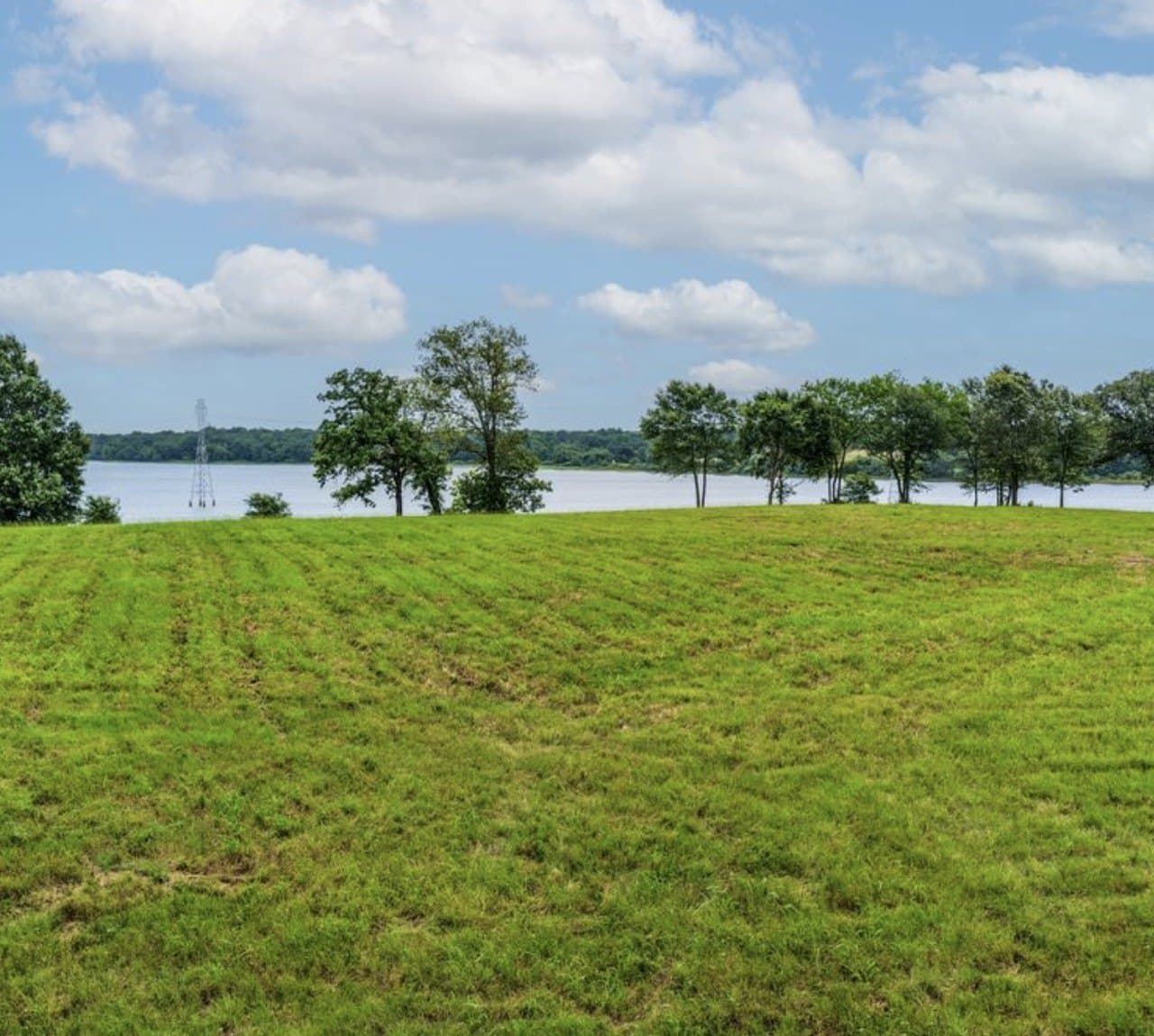 1.32 acres in Rains County - photo 8