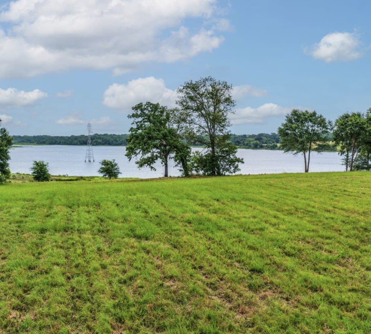 1.32 acres in Rains County - photo 9