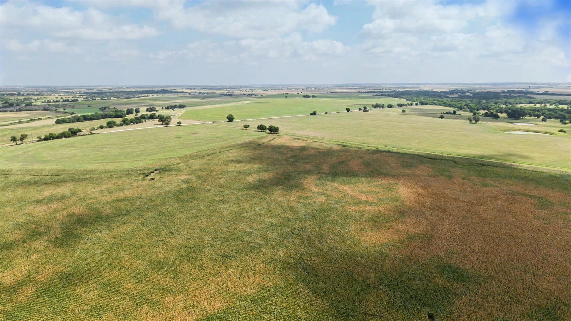 350 acres in Hill County - photo 5