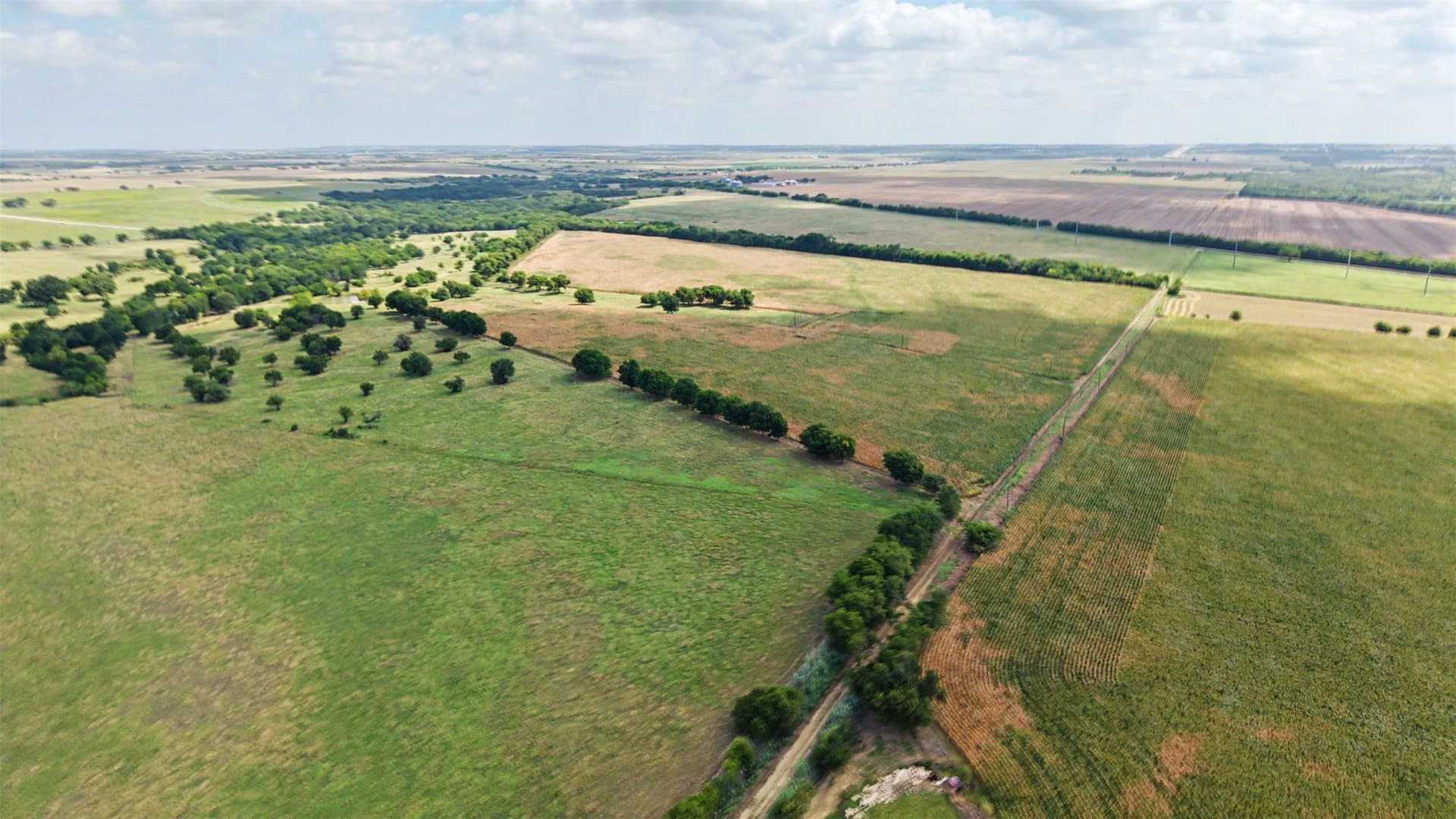 350 acres in Hill County - photo 15