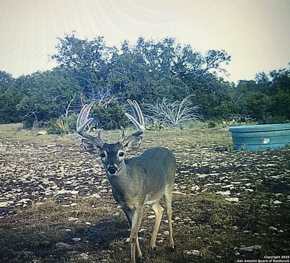 180.6 acres in Sutton County featured view