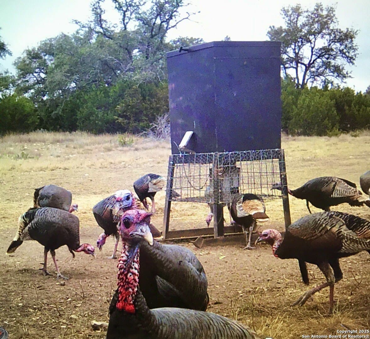 180.6 acres in Sutton County gallery image 3