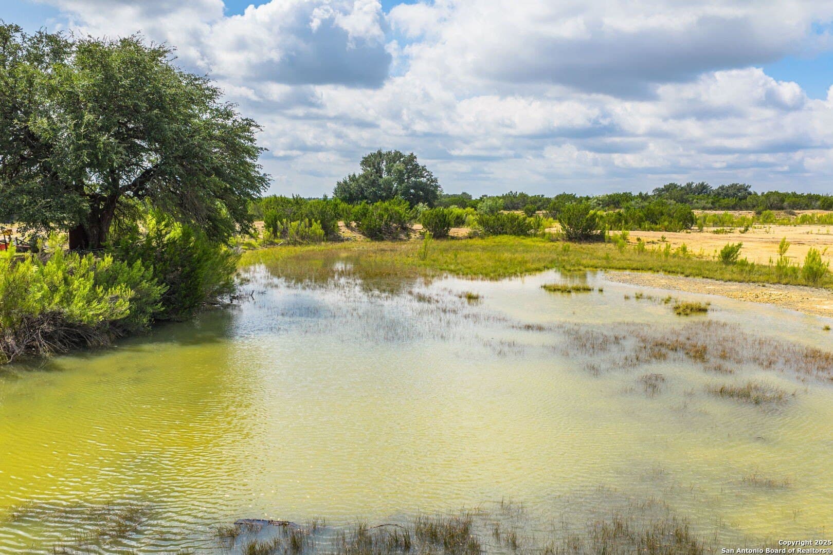 180.6 acres in Sutton County gallery image 2