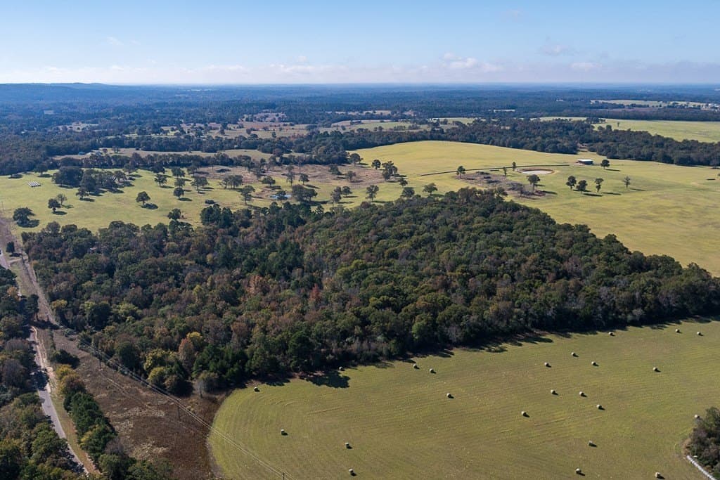 24 acres in Anderson County - photo 10