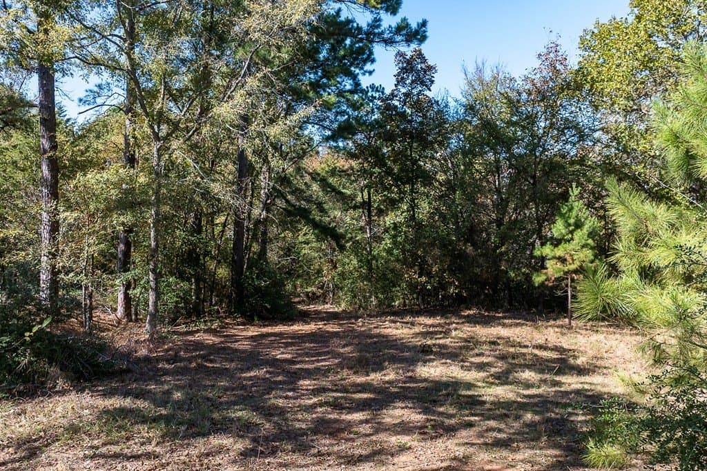 24 acres in Anderson County featured view