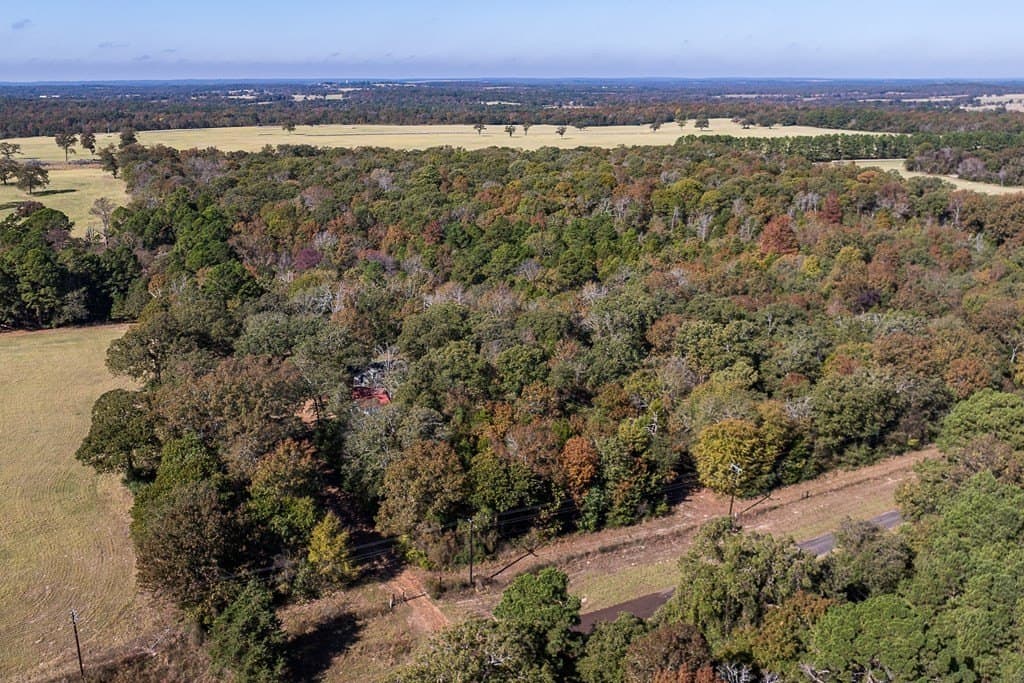 24 acres in Anderson County - photo 11