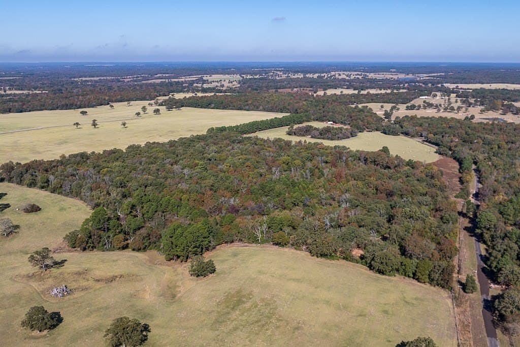 24 acres in Anderson County - photo 9