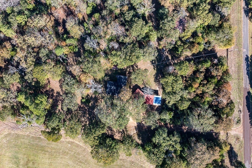 24 acres in Anderson County - photo 14